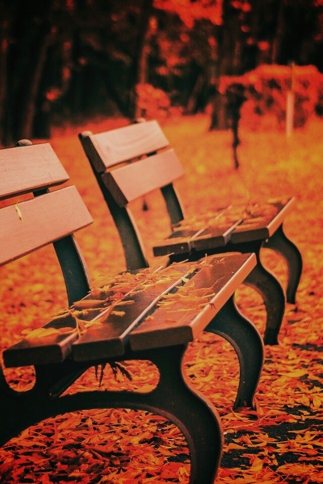Лавочки в осеннем парке обои