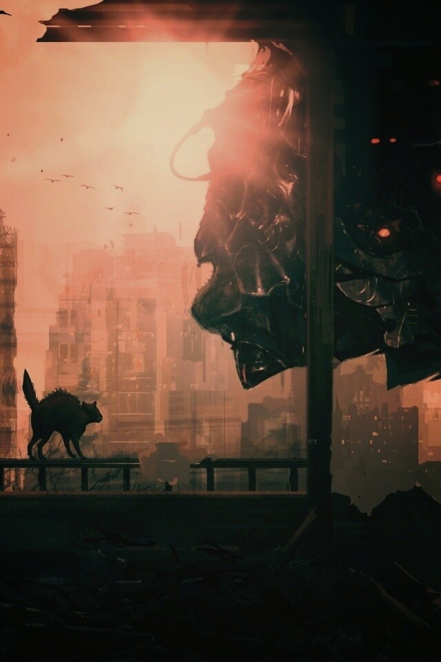 Кошкино удивление обои