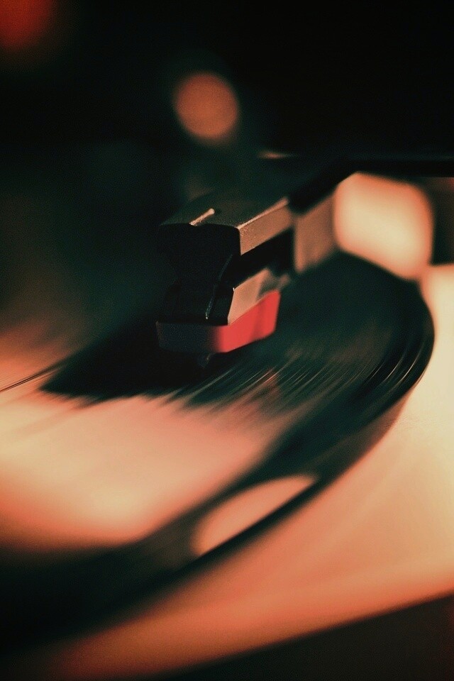 Пластинка обои