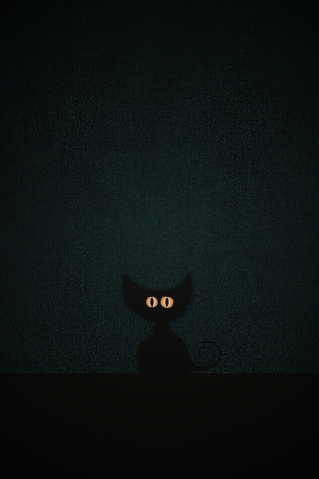 Чёрный кот в ночи обои