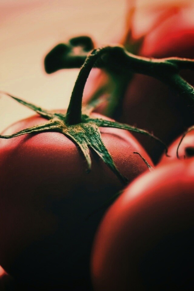 Аппетитные помидоры обои