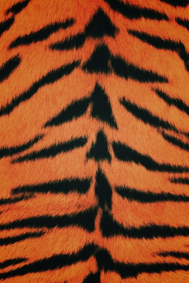 Тигриная шкура обои