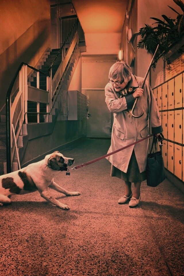 Непослушная собака обои