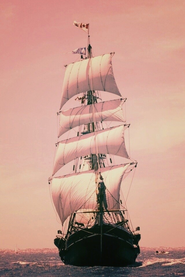 Парусник обои