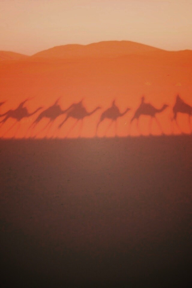 Караван обои