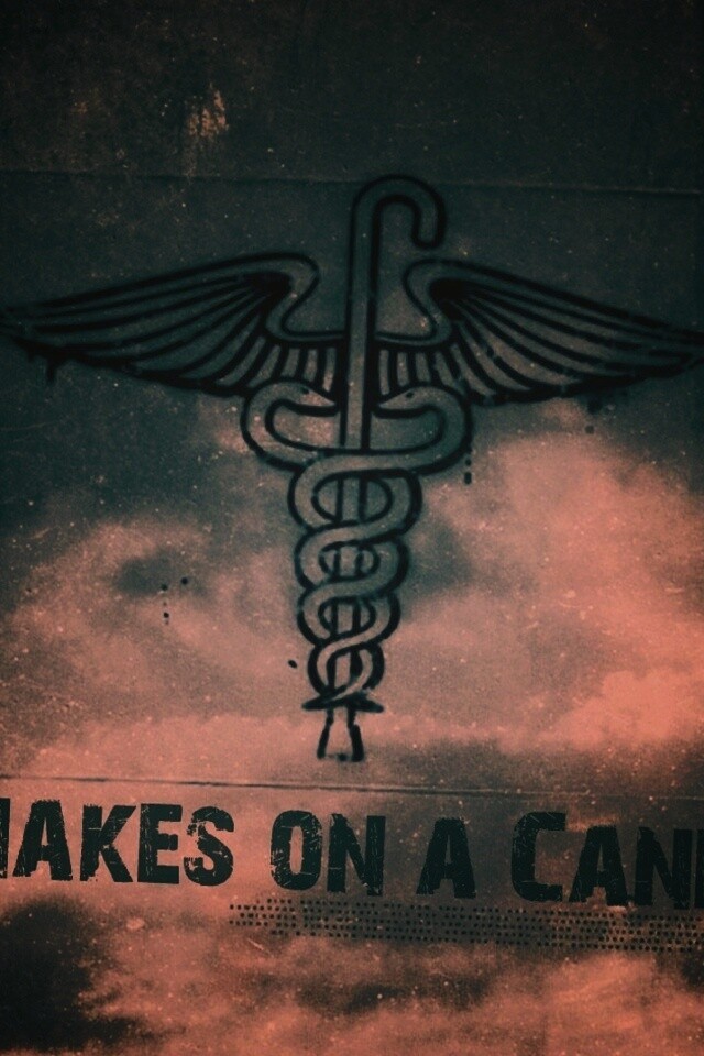 Змеи на трости обои