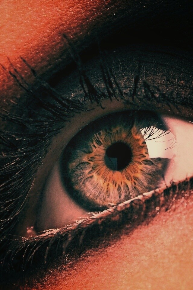 Оранжевый глаз обои