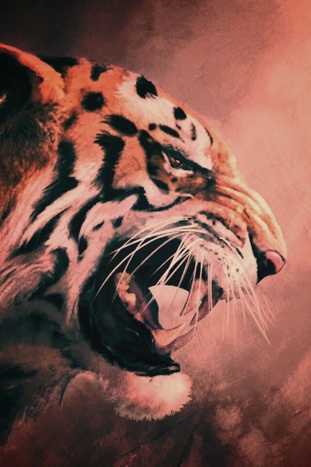 Картина с тигром обои