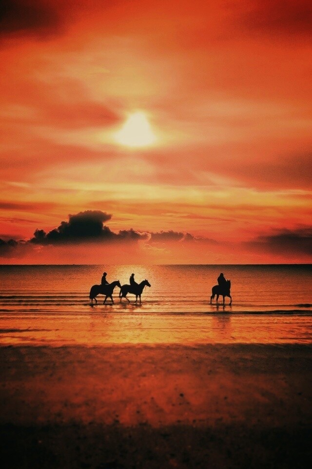 Наездники на закате обои