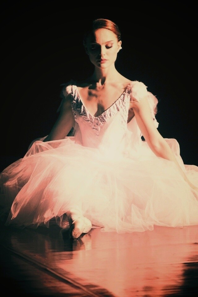 Черный лебедь обои