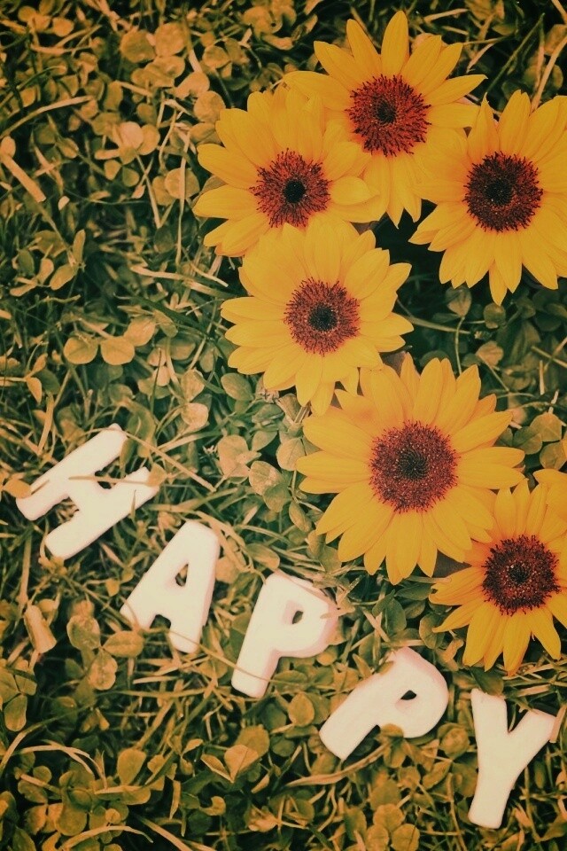 Радость обои