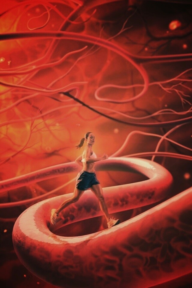 Бег крови обои