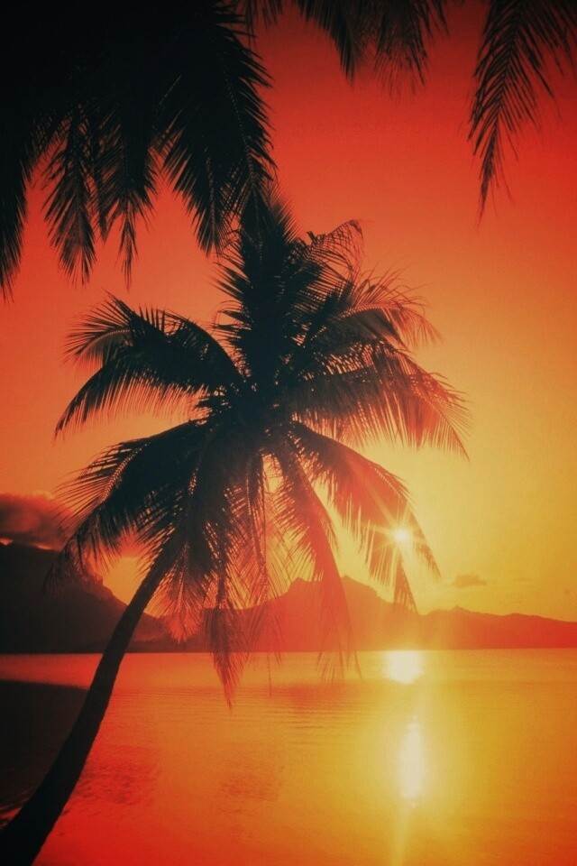 Закат в раю обои