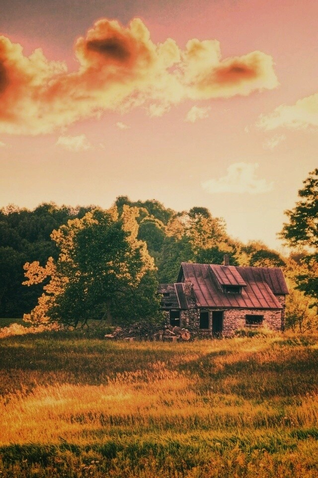 Домик в лесу обои