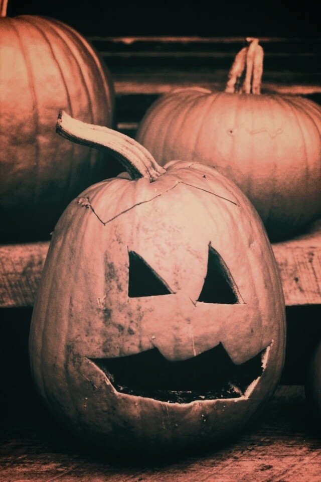 Тыквы на хэллоуин обои