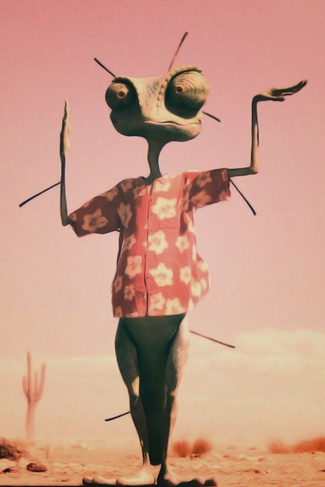 Ранго и кактус обои