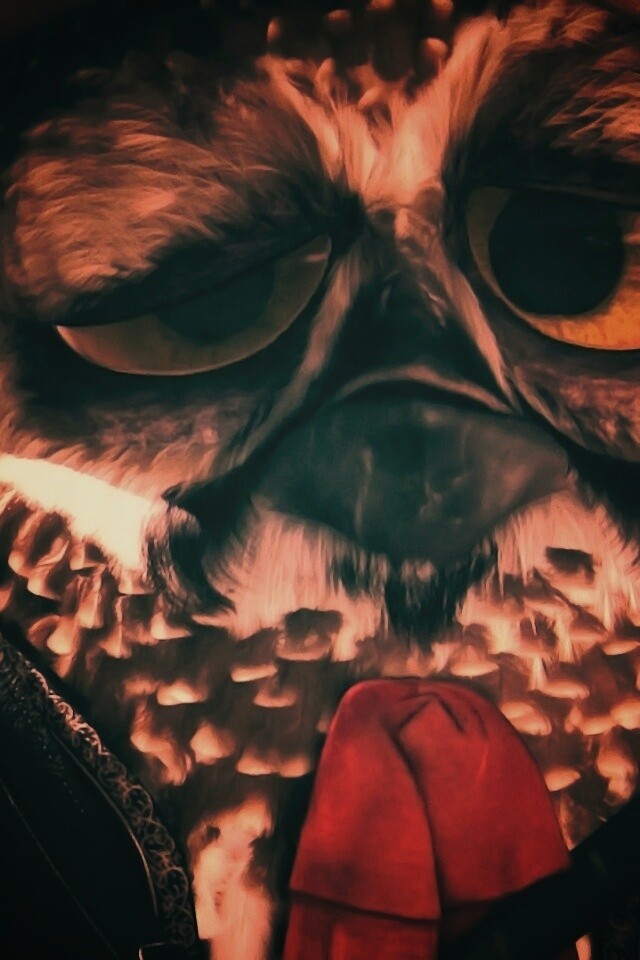 Совы-мариачи из Ранго обои