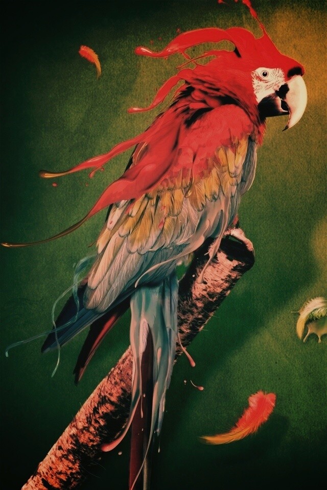 Попугай на ветке обои