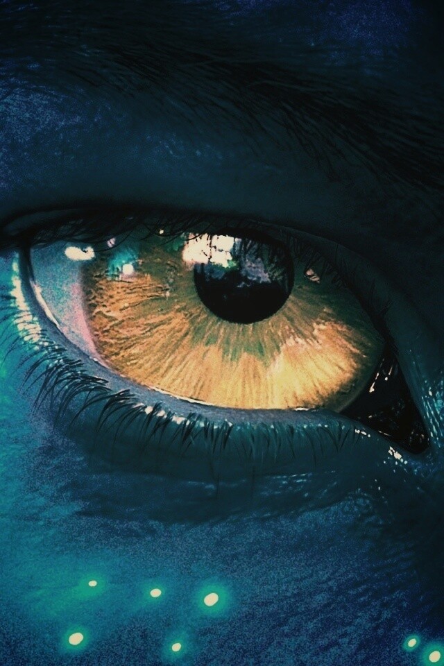 Смотрит прямо в душу обои