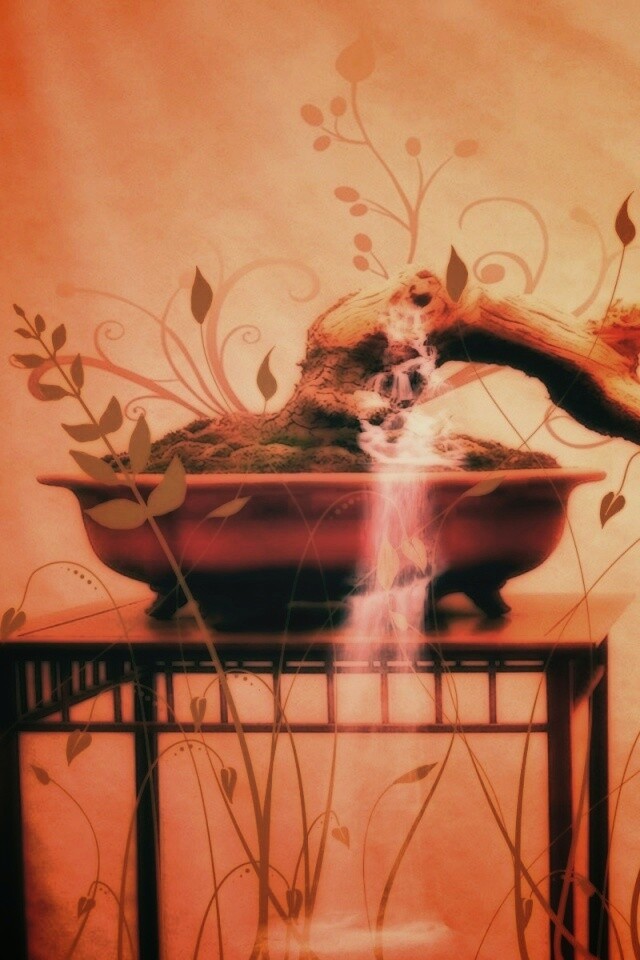 Карликовое дерево обои