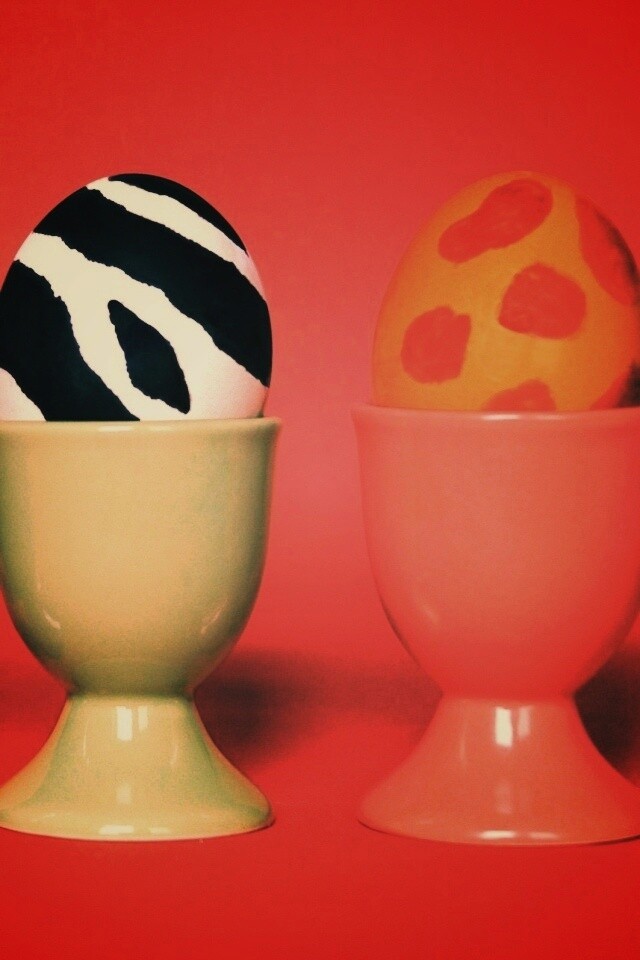 Кокушки обои