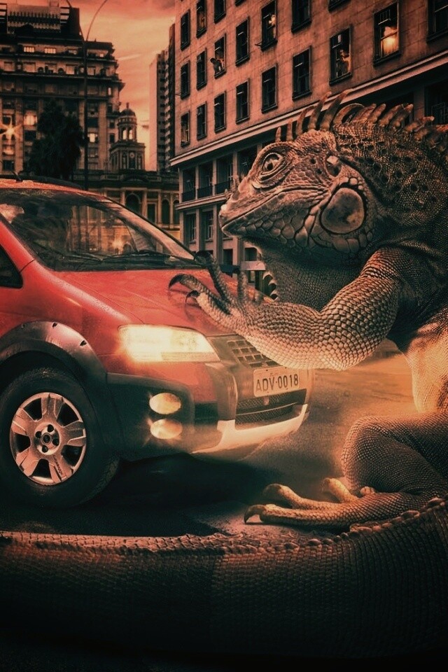 Ящерица в городе обои