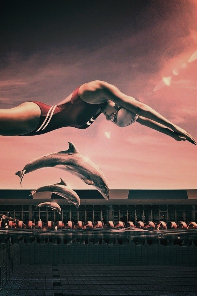 Соревнование обои