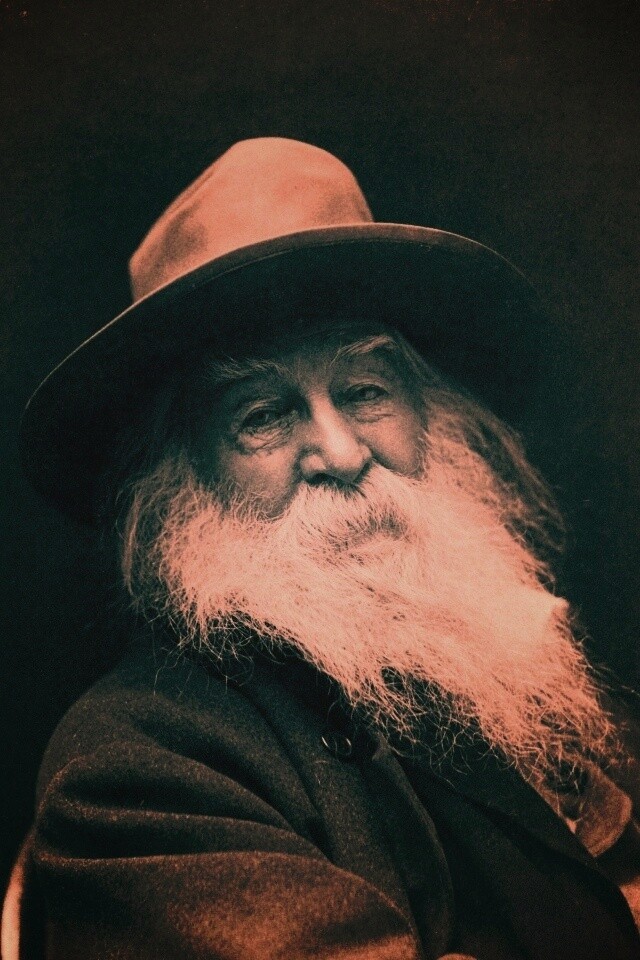 Уолт Уитмен обои