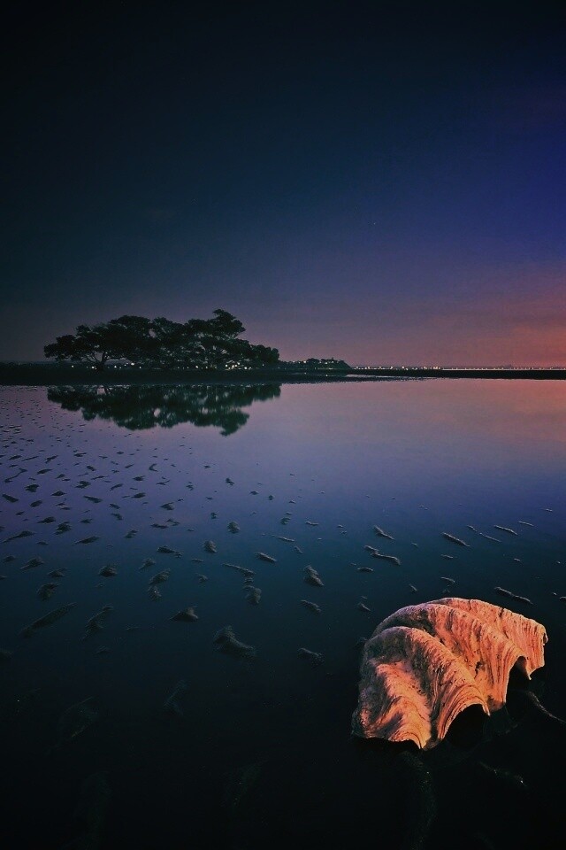 Закат на берегу моря обои