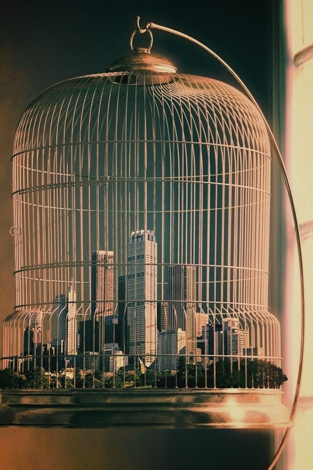 Город в клетке обои