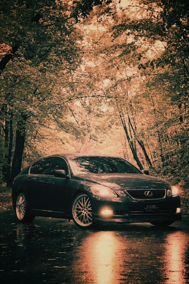 Лексус на лесной дороге обои