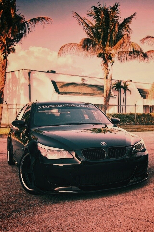 Две БМВ обои