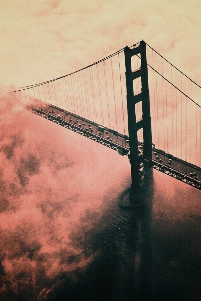 Мост Золотые ворота утопает в тумане обои