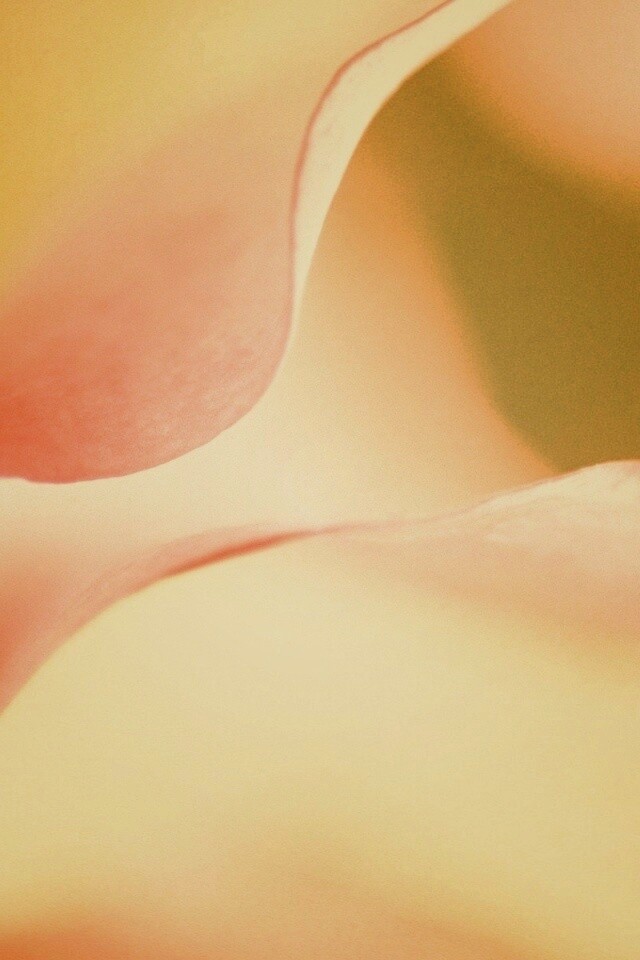 Оттенки природы обои