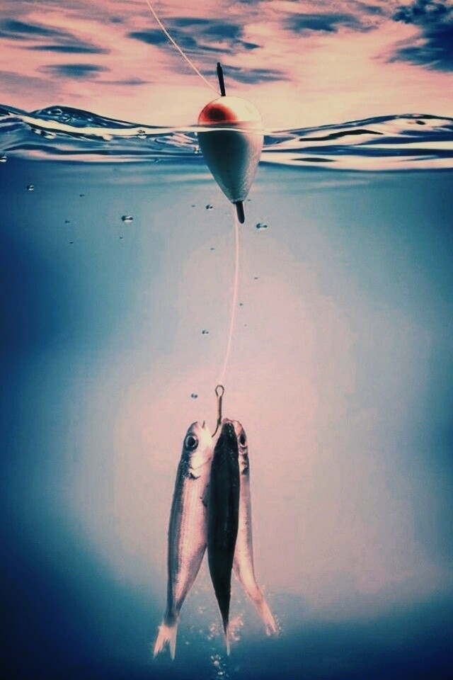 На крючке обои