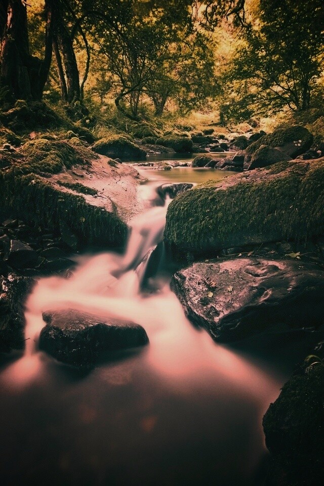 Речной поток в лесу обои