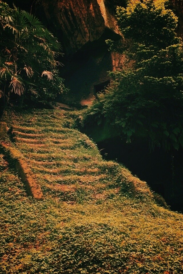 Старинный лесной храм обои