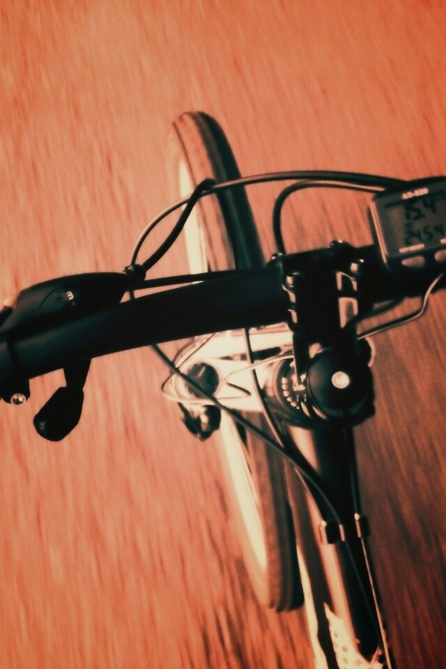 Катание на велосипеде обои