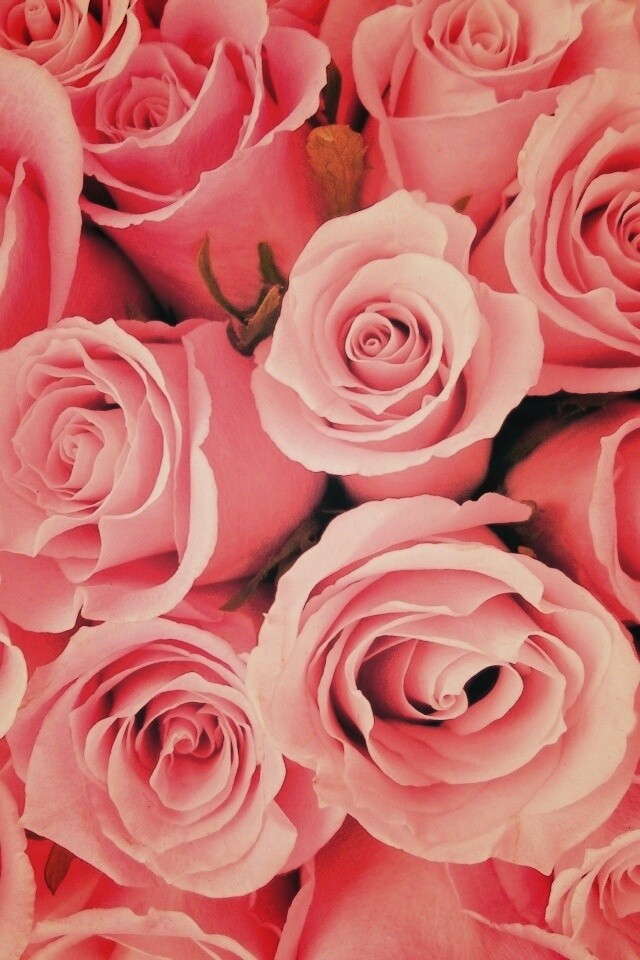 Букет роз обои