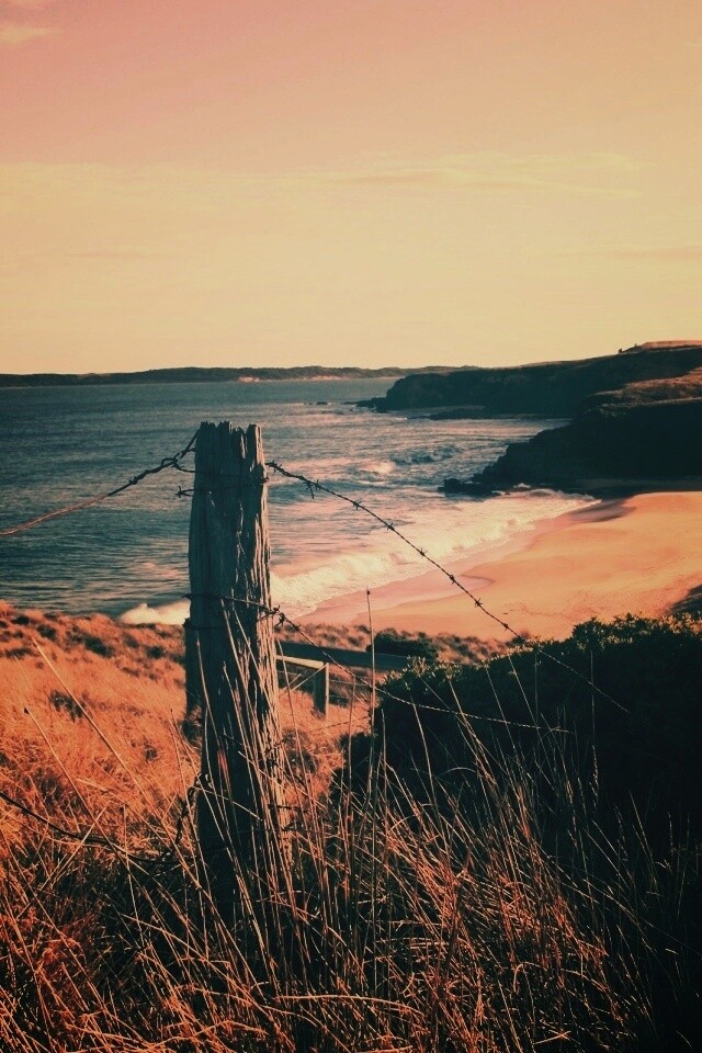 Пляж на озере обои