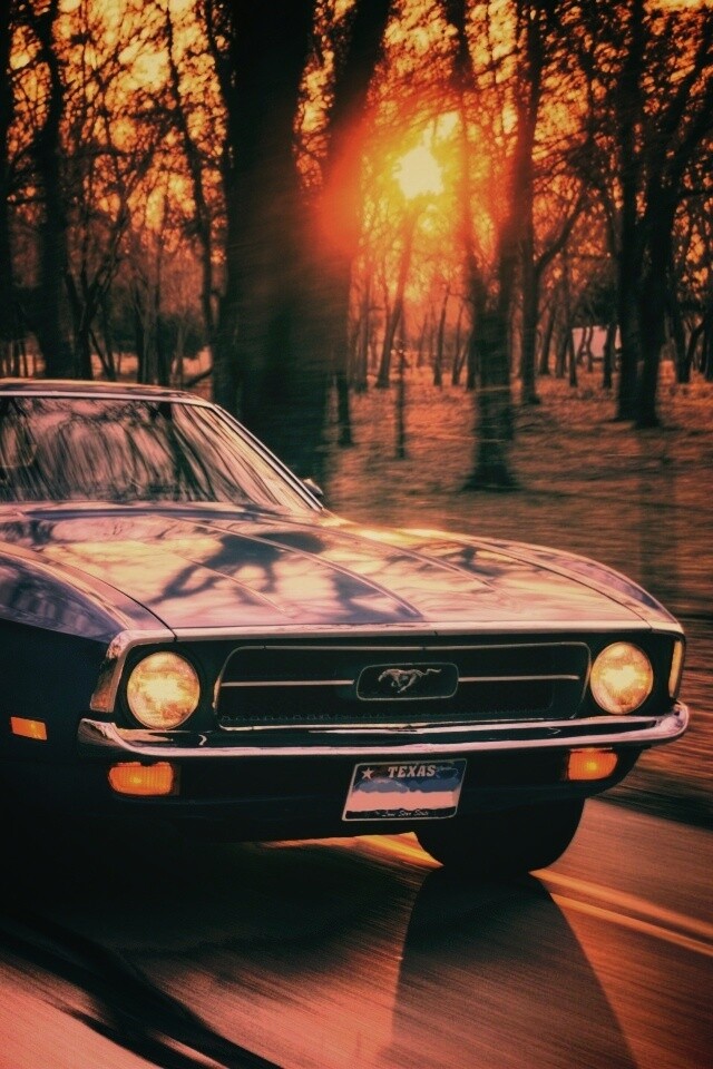 Мустанг обои