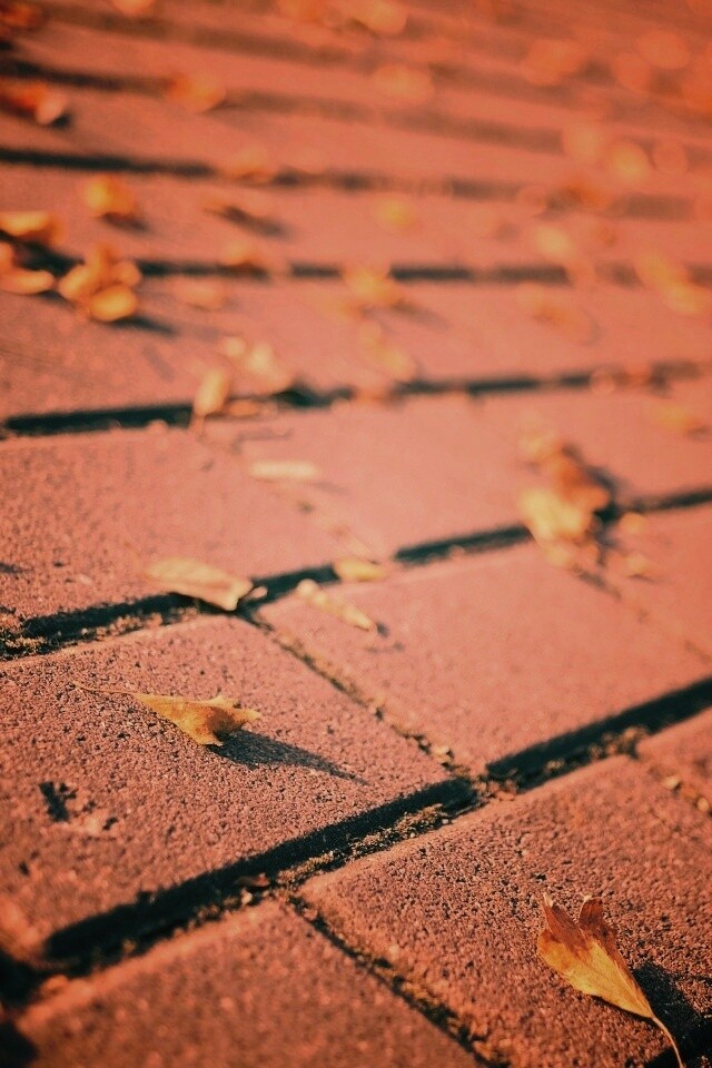 Тротуар обои