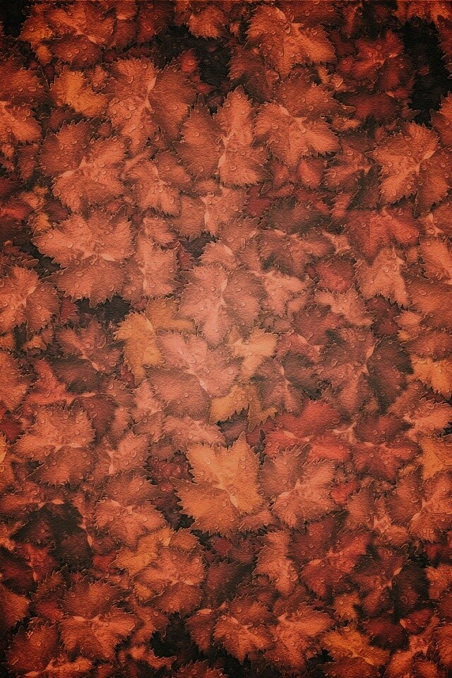 Осенние листья обои