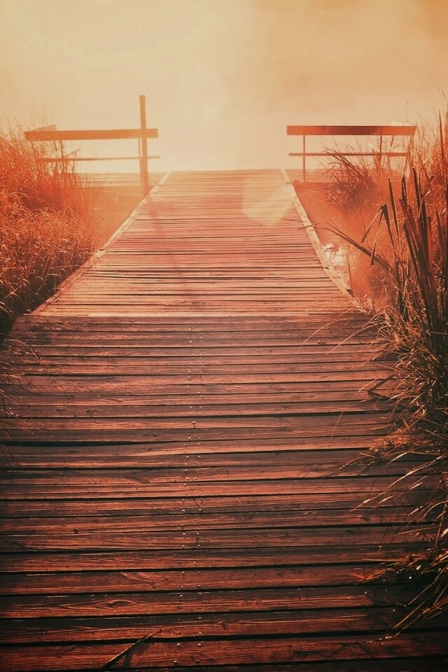 Выход к реке обои