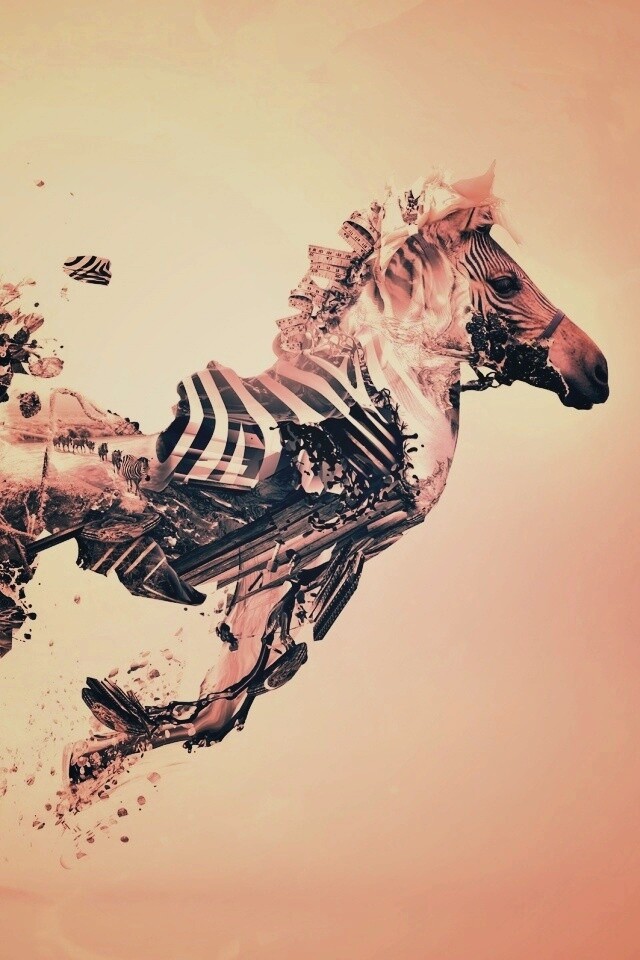 Зебра и бонсай обои