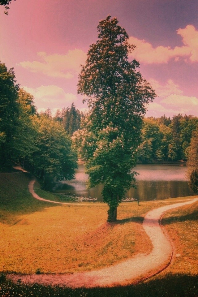 Прекрасная природа обои