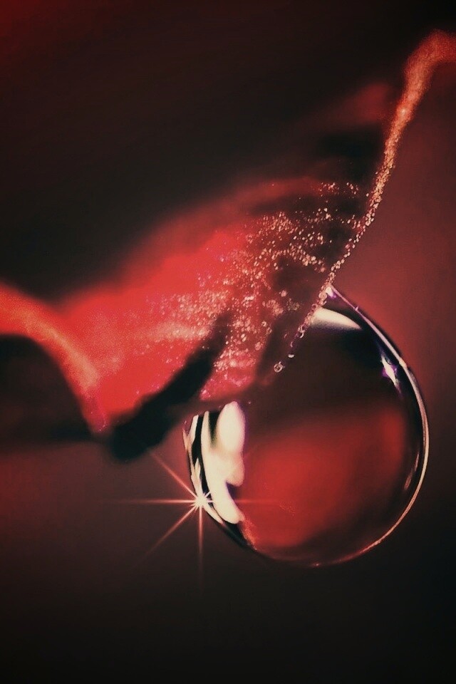 Макро капля на лепестке обои