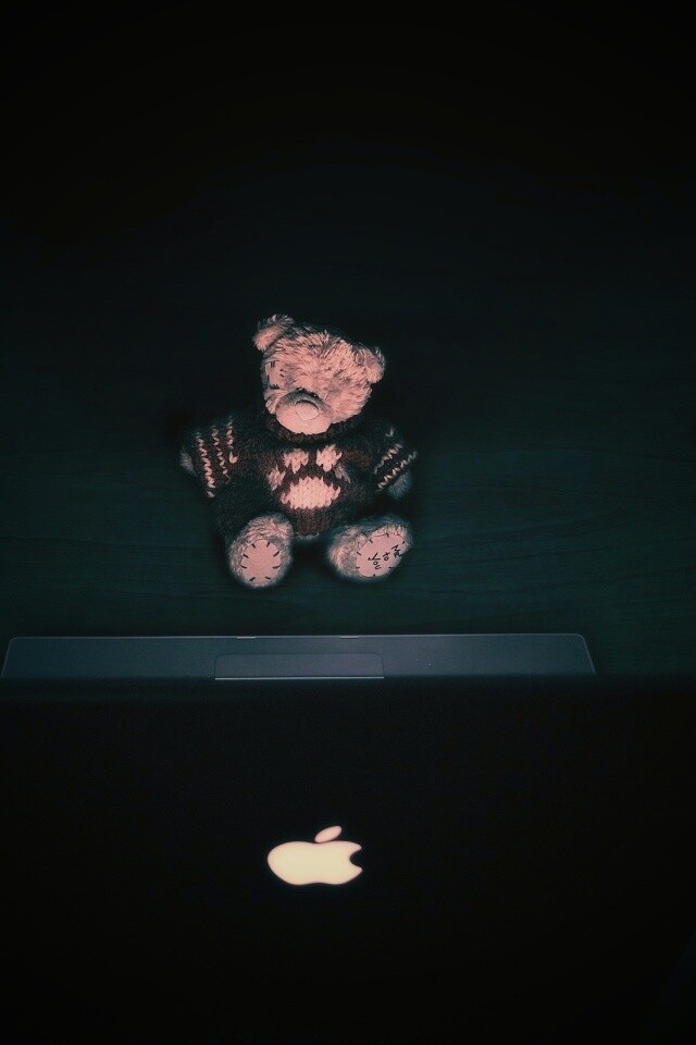 Плюшевый мишка за ноутбуком обои