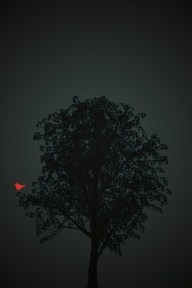 Дерево и птица обои