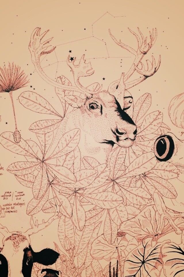 Животные на рабочий стол Apple обои